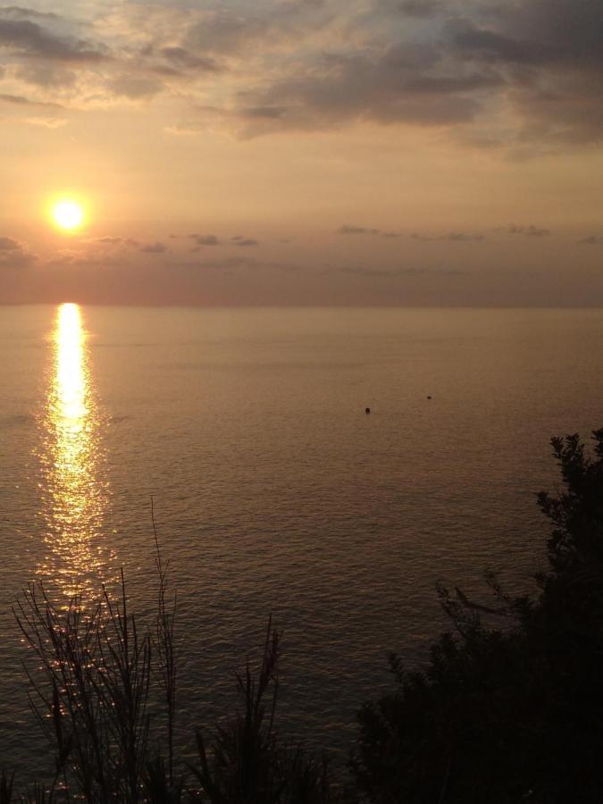 Willa Anjos'S Choice Ponta do Sol  Zewnętrze zdjęcie